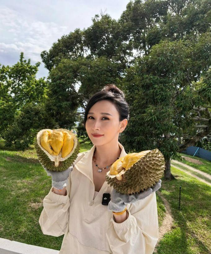 想吃榴莲那么就专门搞一个榴莲园。
没错，这是艺人胡静的老公为胡静专门打造的榴莲园