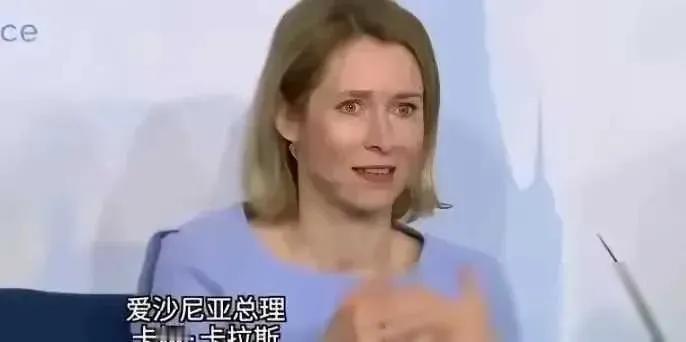 爱沙尼亚的前任总理曾豪言壮志，誓言将俄罗斯一分为二，那份气势仿佛能撼动天地，让世