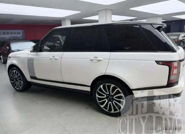 江西南昌，张先生开着豪车租赁公司，靠收租金营生，为扩大规模、降低成本，他常买二手