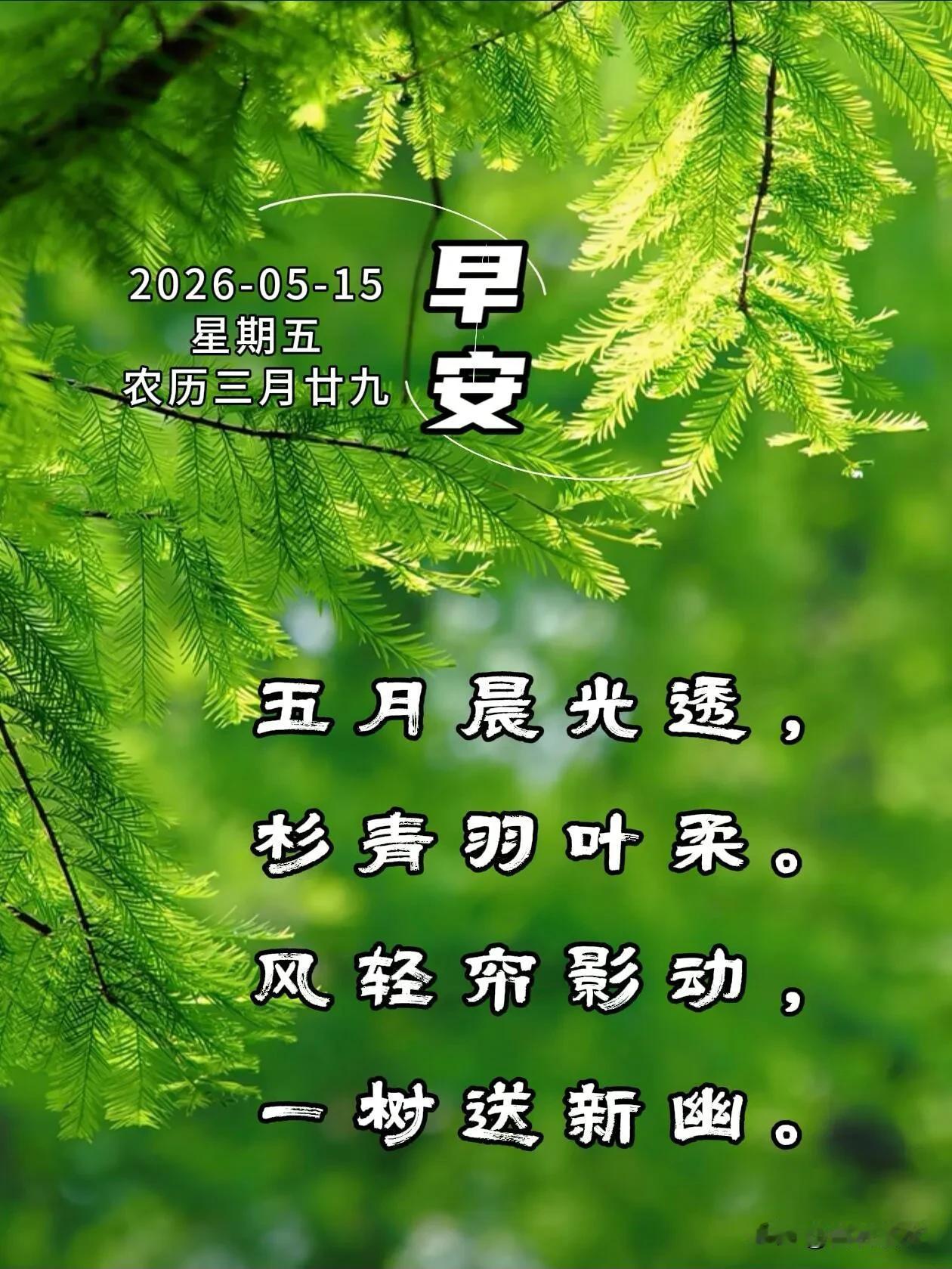 天亮了，风很温柔，你也一定要快乐呀。