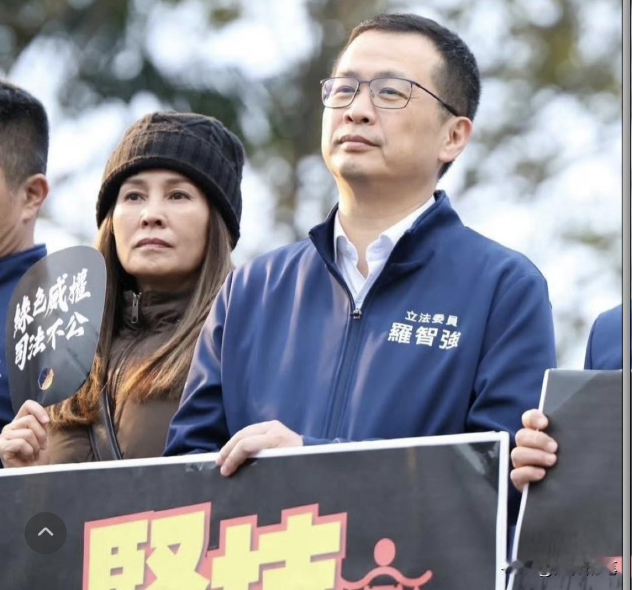 高金素梅被北检上门搜索和羁押审讯到突发疾病，被紧急送医，罗智强从这件事情发生开始