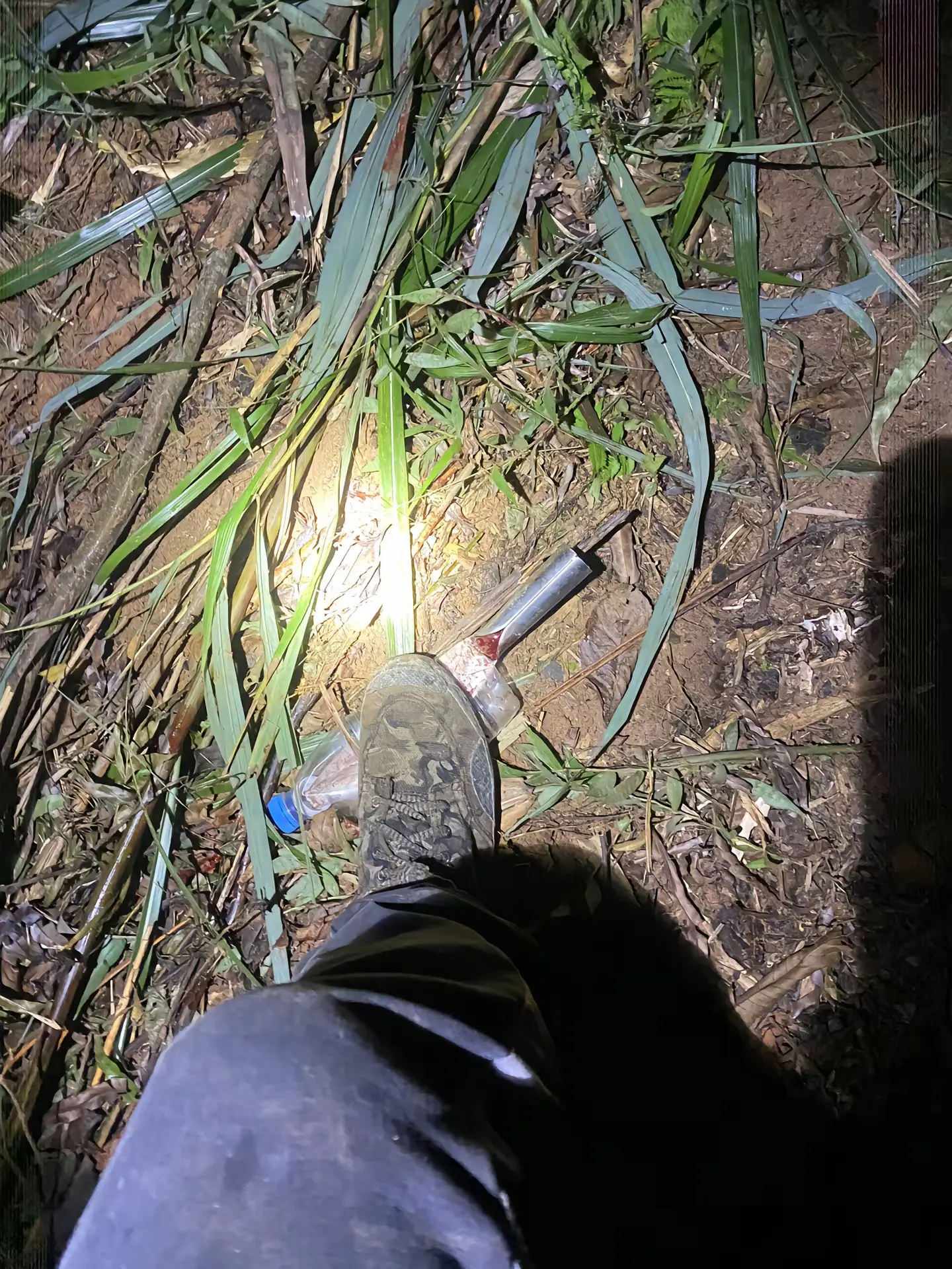 能不能行看你自己 我们各凭本事