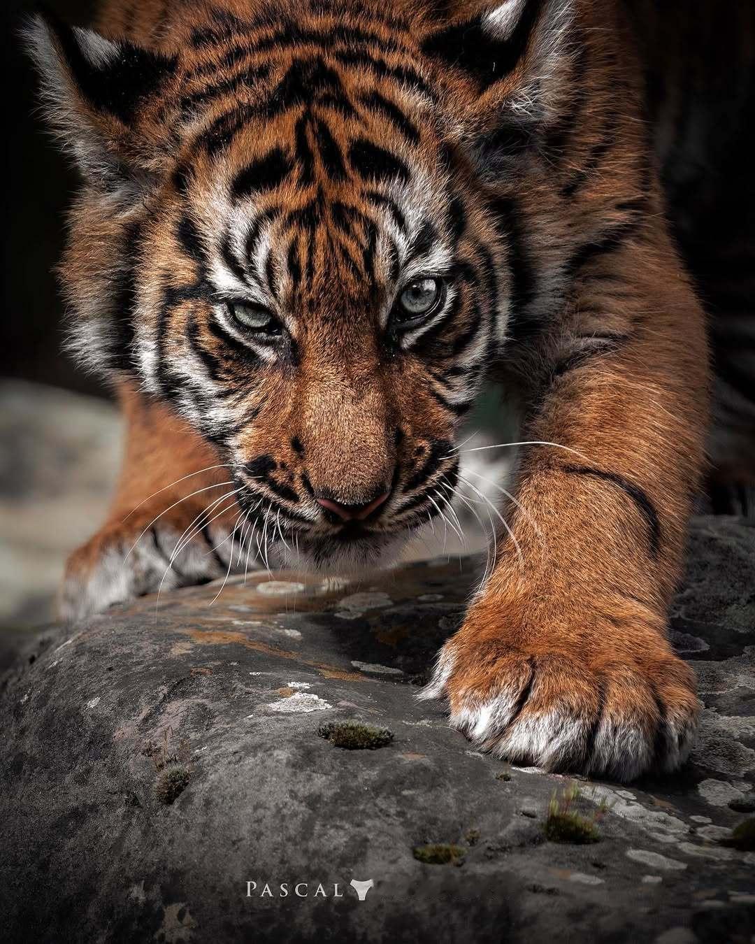 😠 