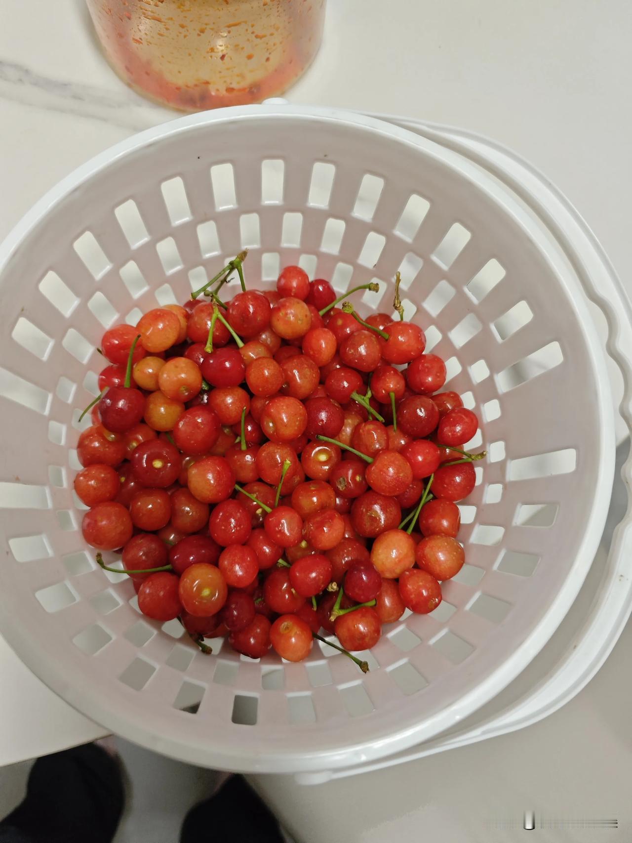 正是吃樱桃的季节
今年天气比较干，阳光充足，樱桃比往年要甜很多
今天运气好，沾了