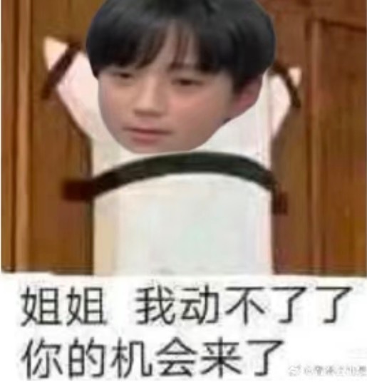 姐姐我不动 