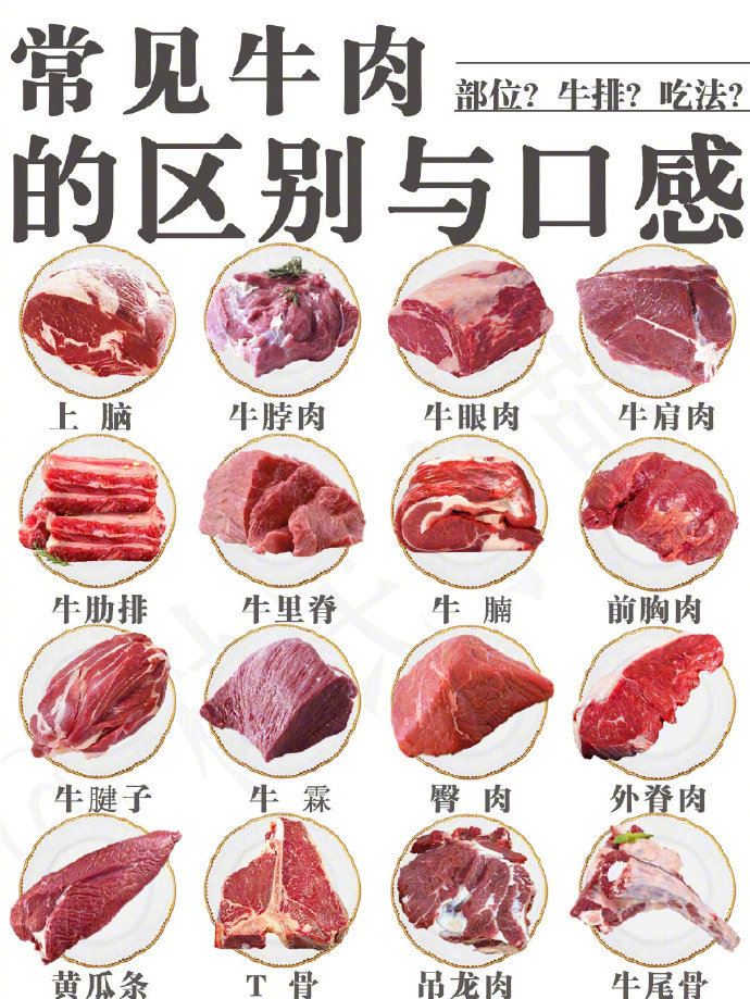 常见牛肉，今天一次性讲清楚！ 