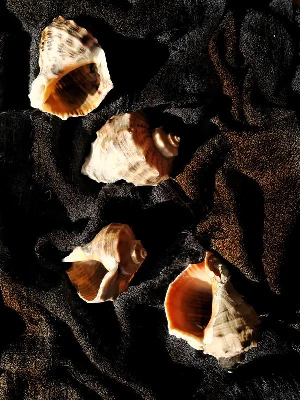 大海真的太适合用来抒发心情了！正如@烟雨蒙蒙所说，弯腰捡起海边五彩斑斓的贝壳，就