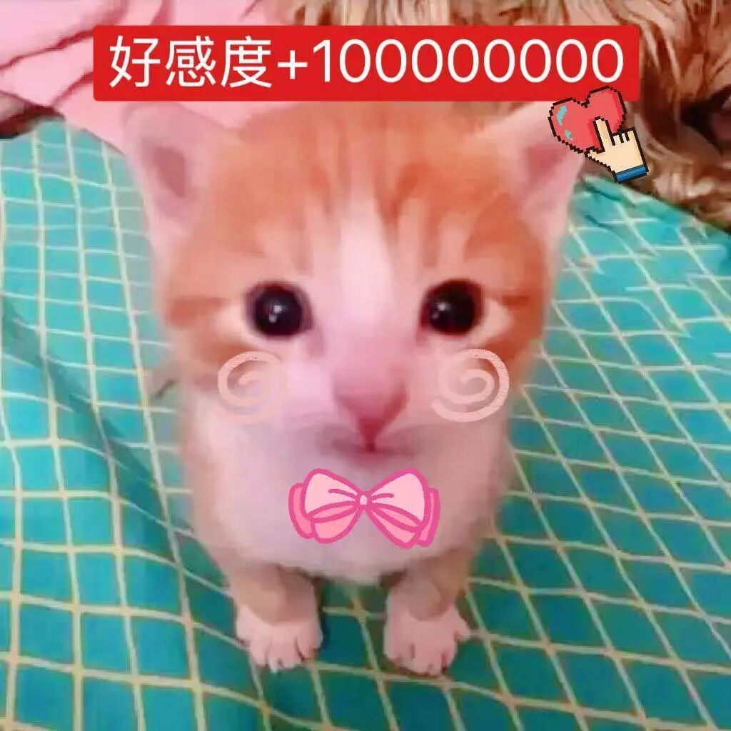 今晚来点高中生，让两个孩子吃点肉晚点来更新 