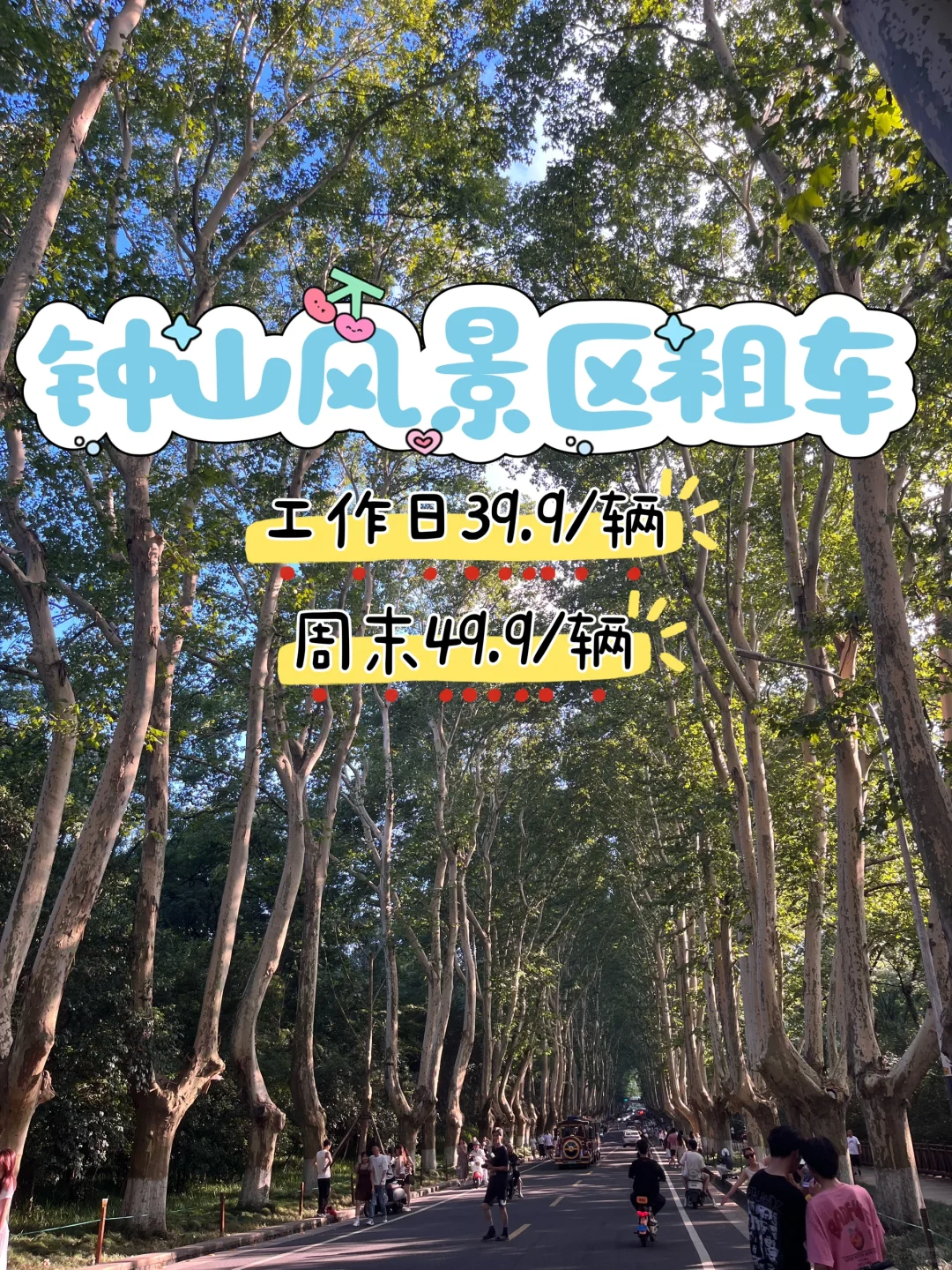 南京旅游租电动车车，抱紧老客户大腿！！！