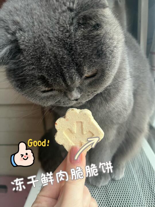 🐾【凯特思冻干测评】挑食崽的终极克星！