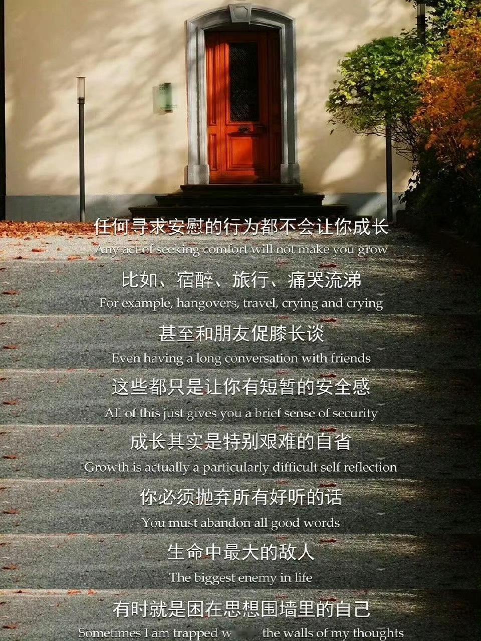 成长其实是特别艰难的自省