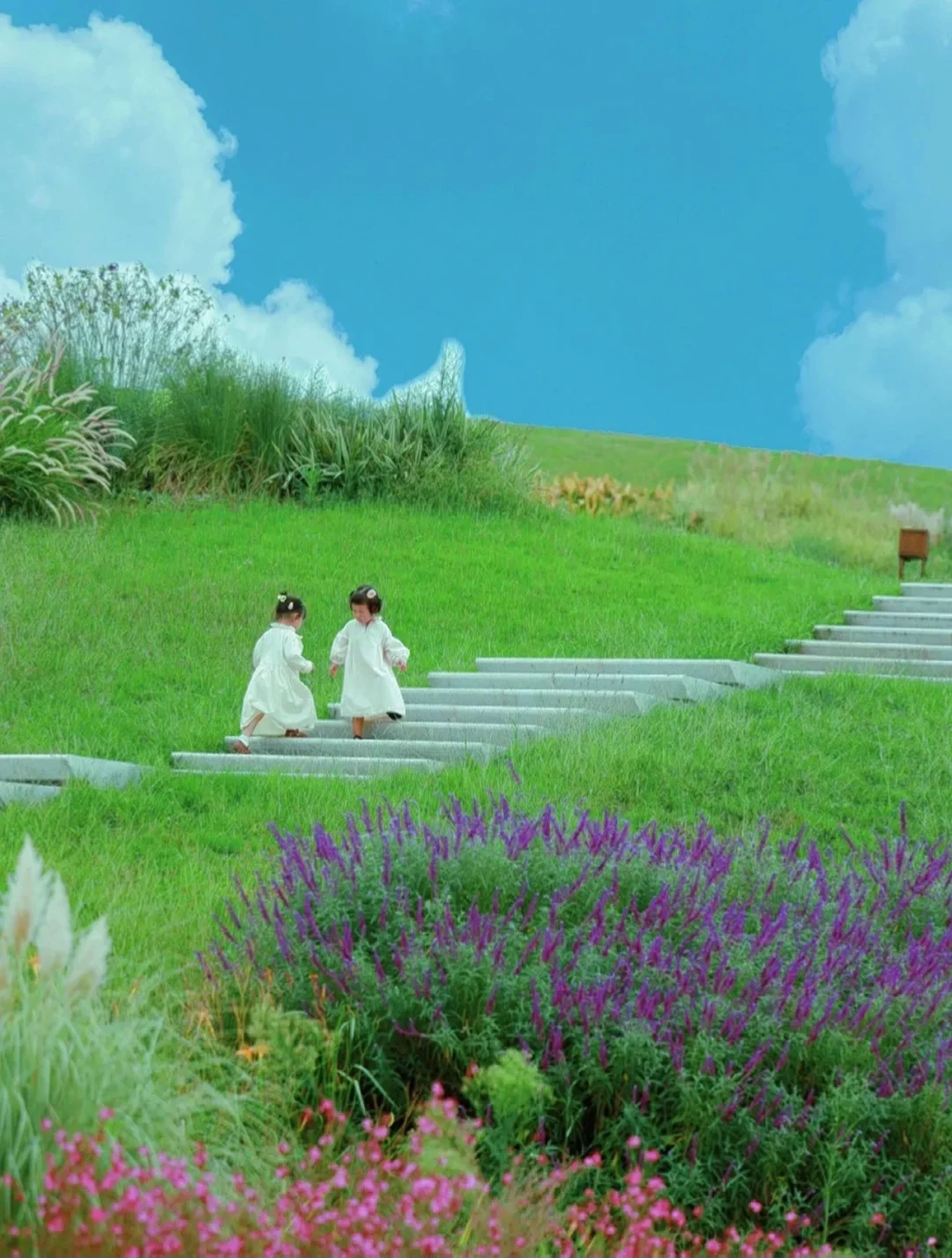 成都遛娃✅｜偶遇最美地铁站“莫奈花园”~