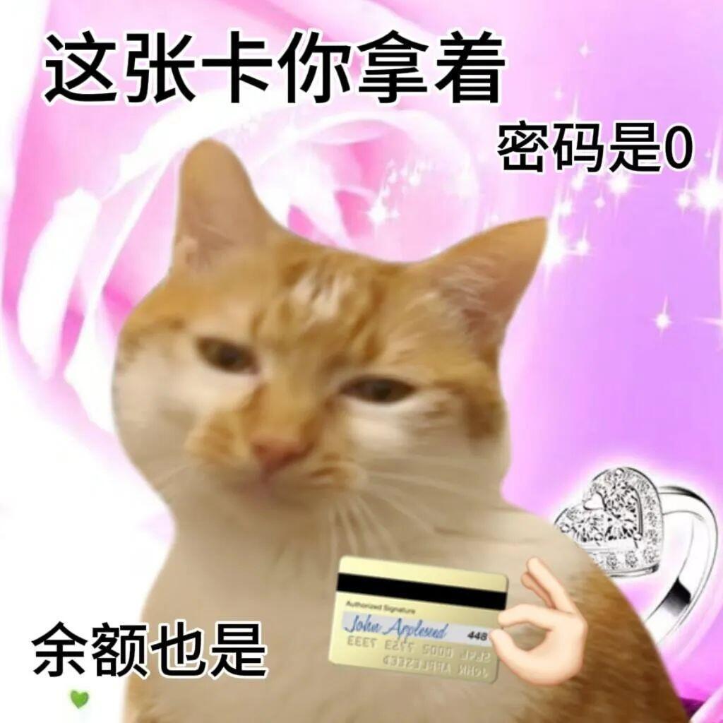 天赋型选手小猫表情包｜图源🍠哥叫鱼烧你记住 