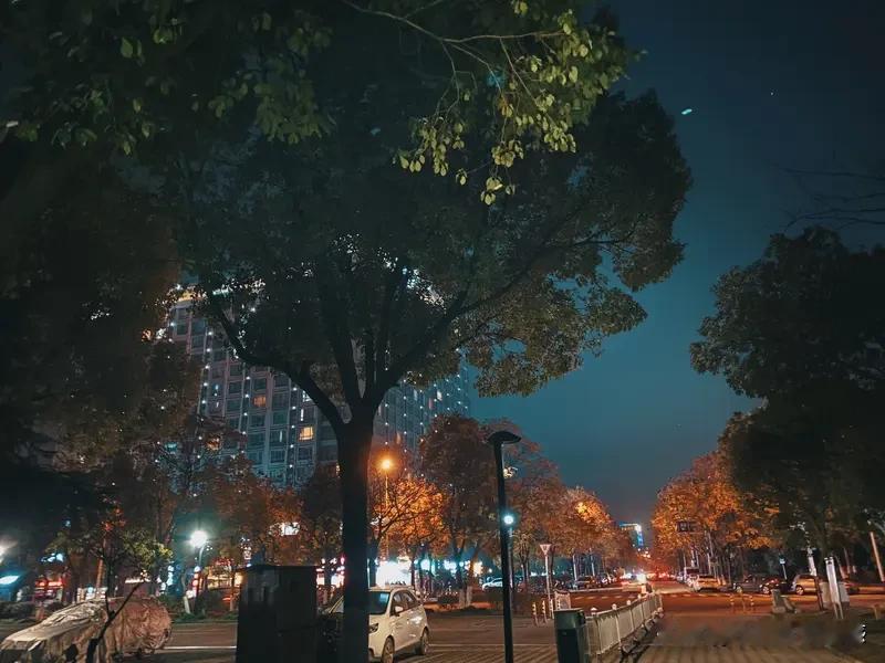退休之后总喜欢饭后出门走走，不像以前上班，每天忙得脚不沾地，根本没心思留意身边的