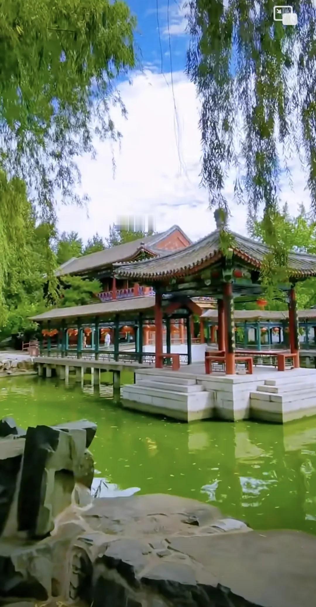 红楼梦，平凡的世界，读后感和我最欣赏的人#一句话证明你看过《红楼梦》，字越少越好