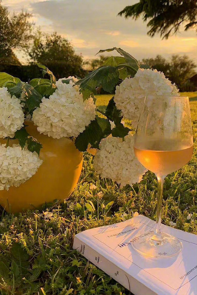 生命如此短暂，我们没有时间去争吵、道歉、伤心、斤斤计较。我们只有时间去爱，一切稍