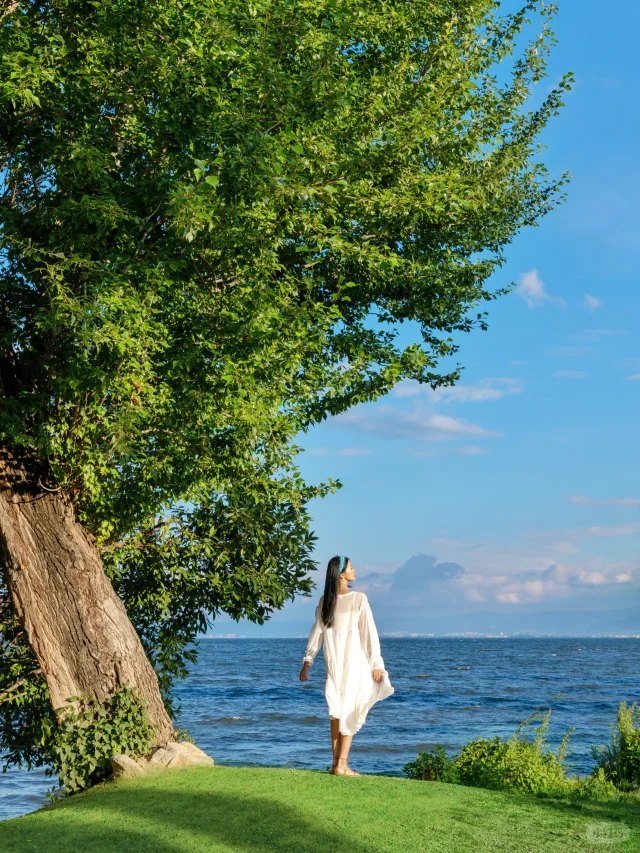 🍃听劝：来大理一定要花半天时间来这里！