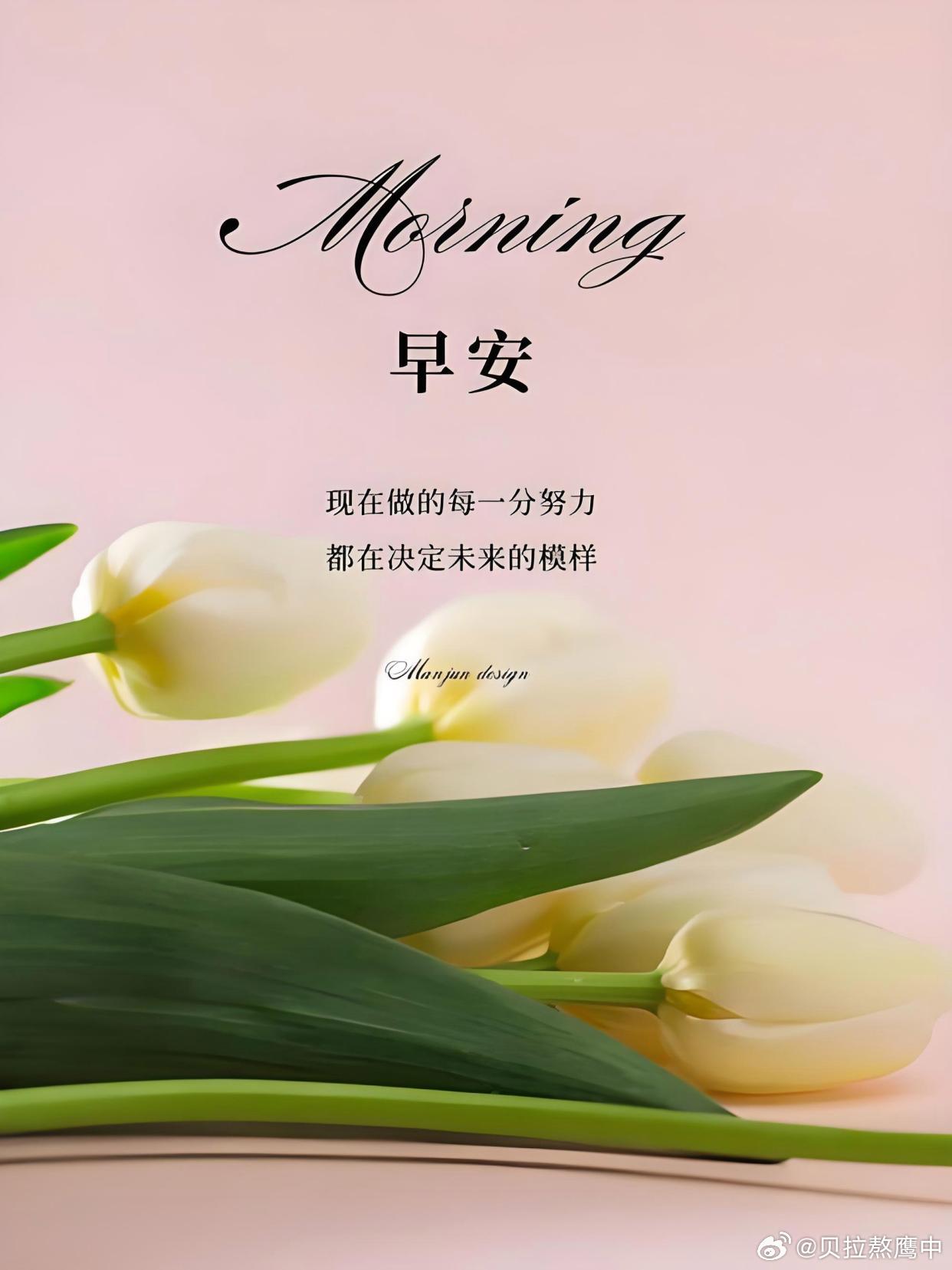 早安[超话] 别急着追赶别人，每个人都有自己的节奏。认真过好今天的小日子，吃一顿