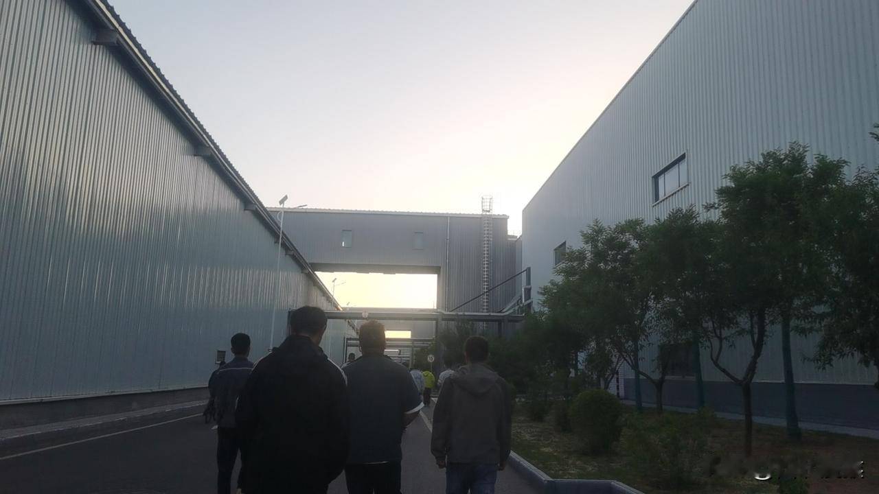 记录我的2026忙忙碌碌中我们缺少发现美，缺少发现魅力的视角，本视觉是我在一个落