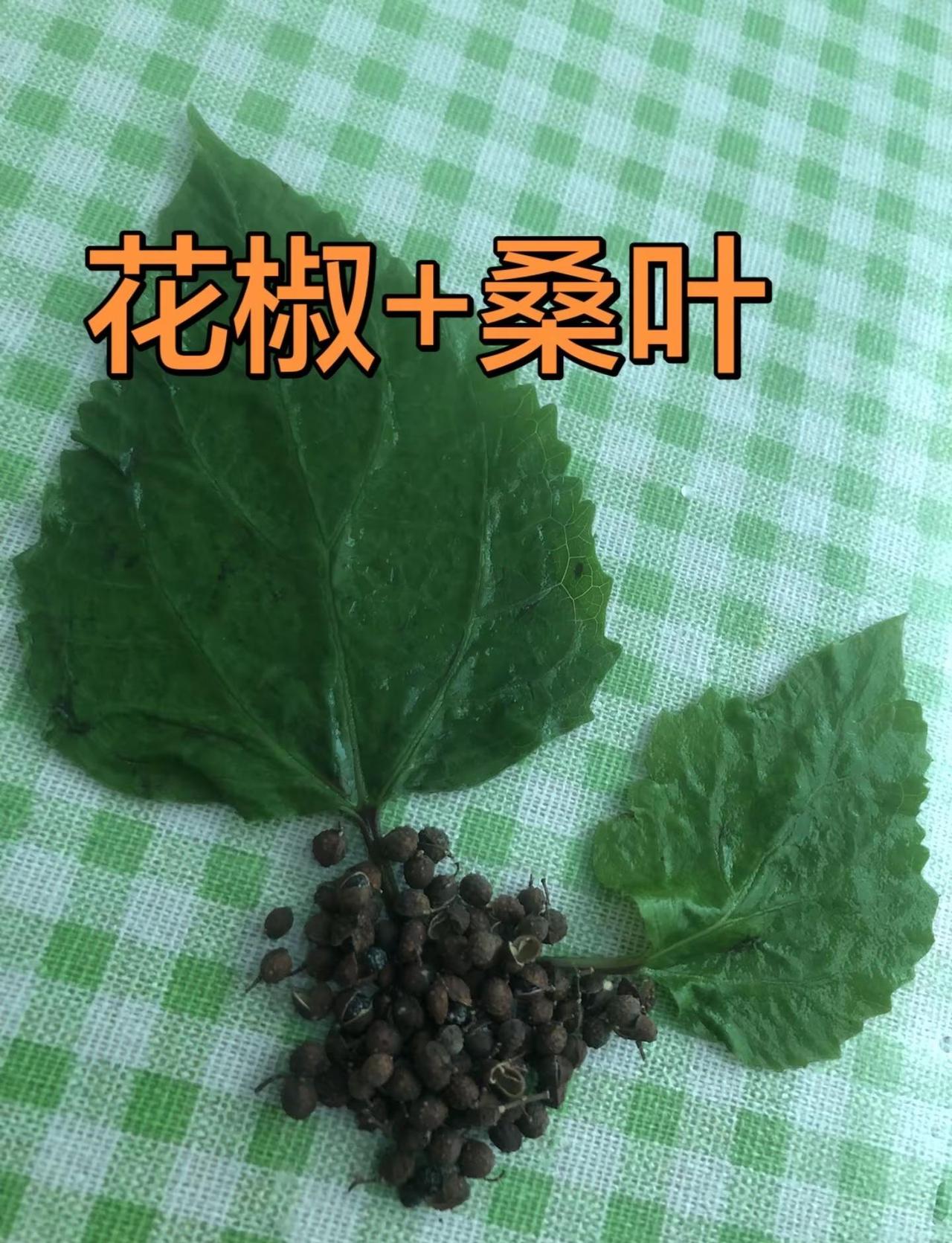 花椒红了中国足联乒乓球俱乐部超级联赛常规赛大连首日，男单第二场，王楚钦1:2不敌