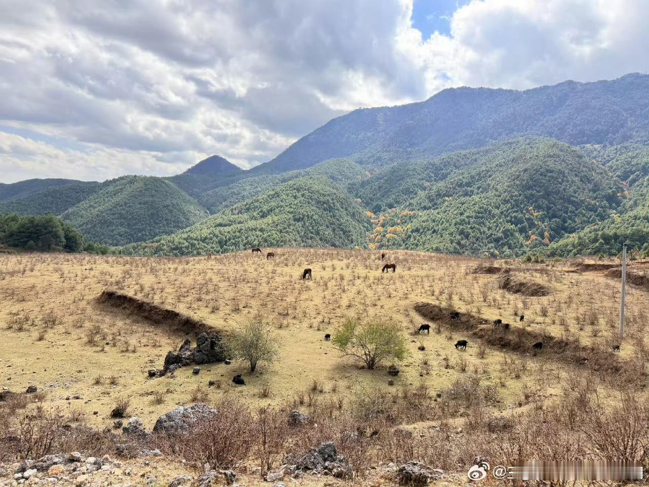 黄摄影师上线，黄俊捷风景照营业👏 