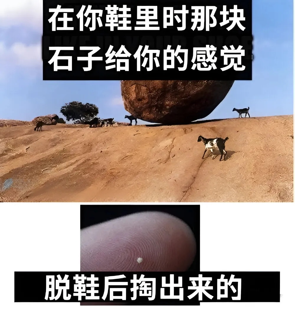 极度不适 meme  / 