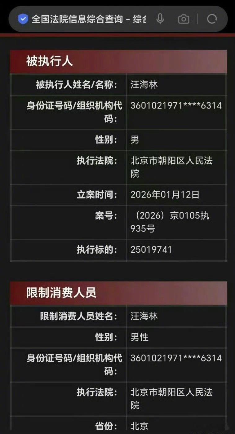 汪海林被限制高消费 