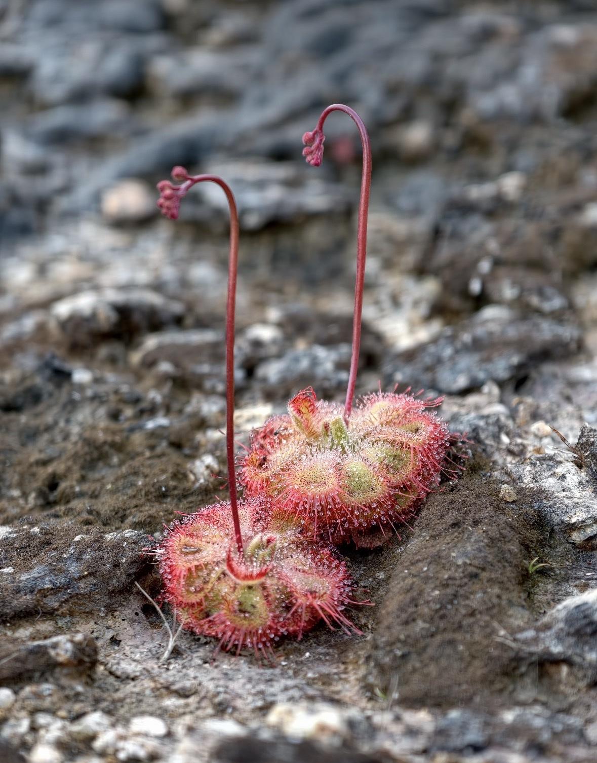 见过2万块一个月一分不存的，
也见过月薪6000，一个个月存2000的，
到了3