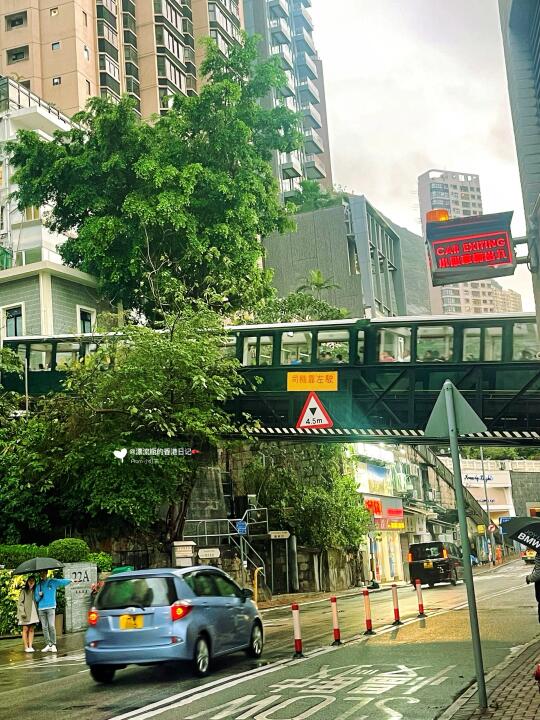🇭🇰没人发过的巨小众好玩中半山散步路线❗️
