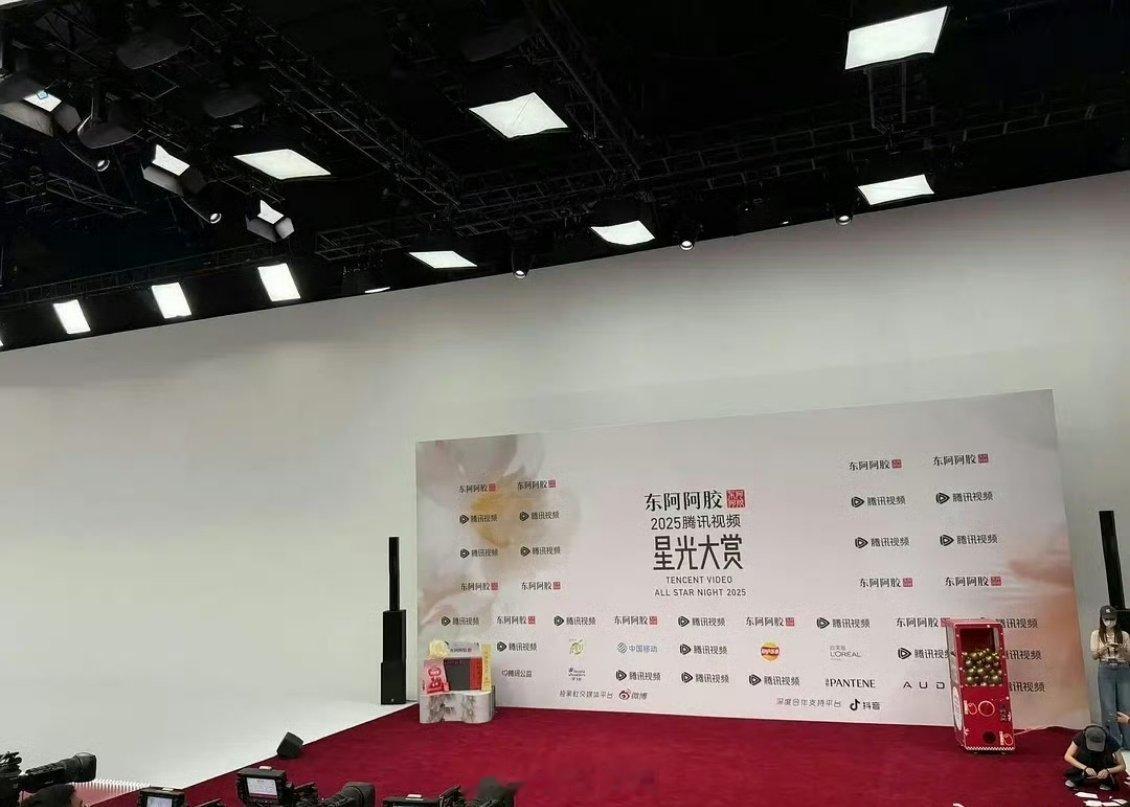 鹅的星光大赏。。。村里举行个盛典红毯也比这大吧