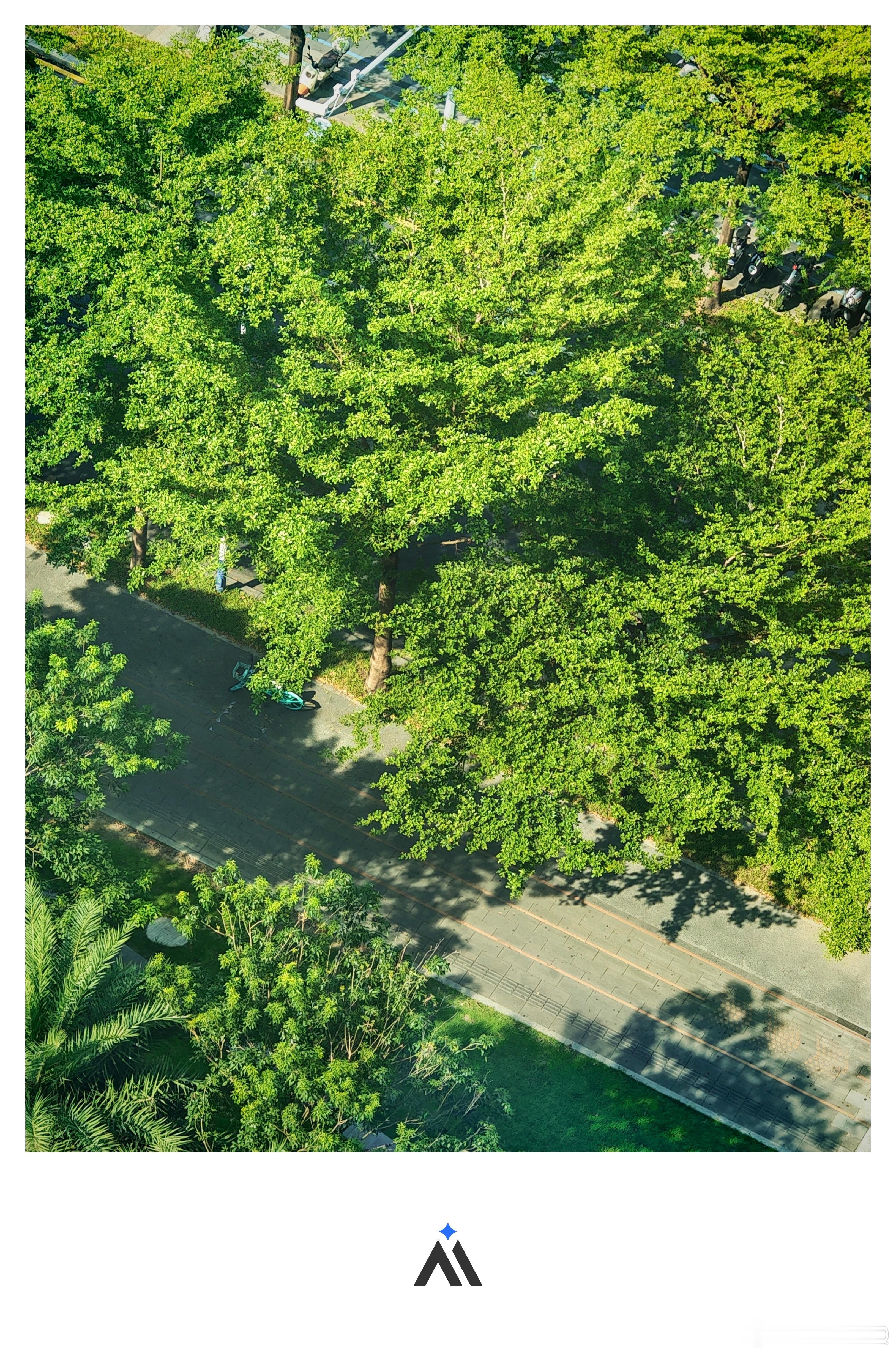 深圳怎么这么热？实在没办法下楼，太热了 