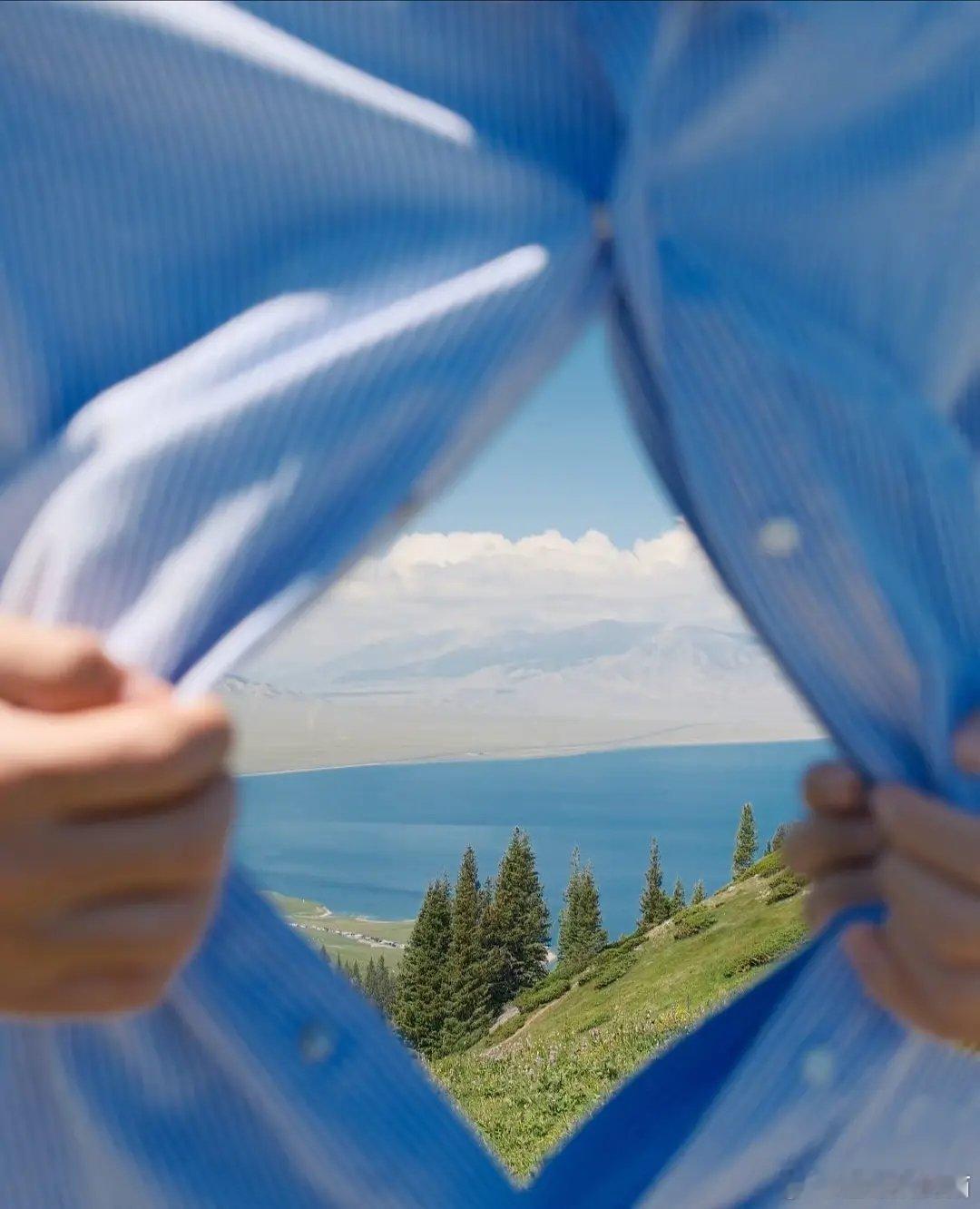 手机壁纸｜🐘 我的壁纸 