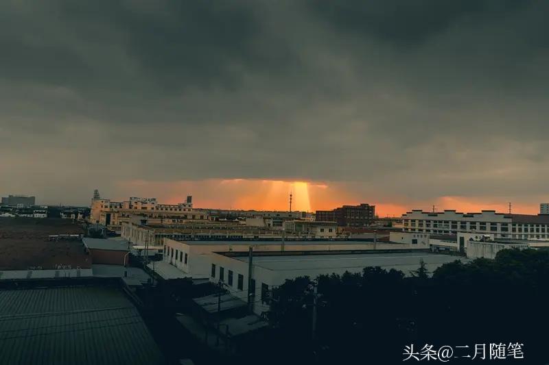 不迎合，不解释，不强求，
你会发现，
真正的光芒，
从来都是向内扎根后，
自然而