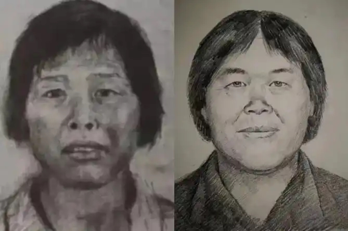 “梅姨”落网！模拟画像专家林宇辉发声，曾绘制“梅姨”第二版画像：还没见到真人照片，保守估计与本人相似