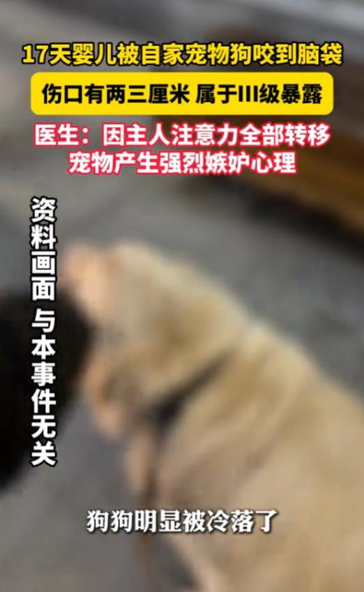 7月13日报道，浙江，一婴儿才出生17天，家中温顺的宠物狗就一口咬在他的头上，家