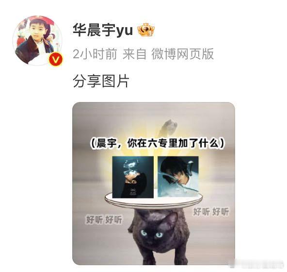 华晨宇分享图片  你的手机要是被per控制了你就发张自拍证明一下！猫拿手机一口气
