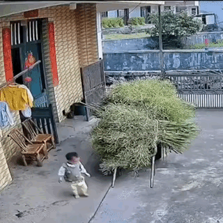 小男孩力气还不小来[呲牙]