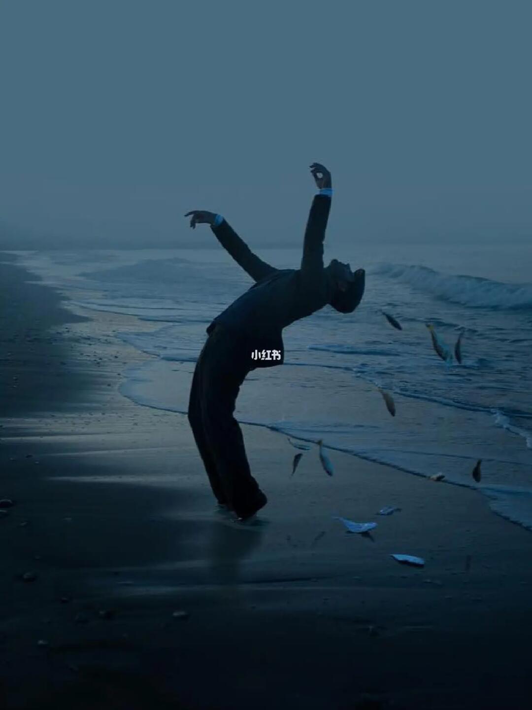 审美提升|每天认识一位摄影大师220