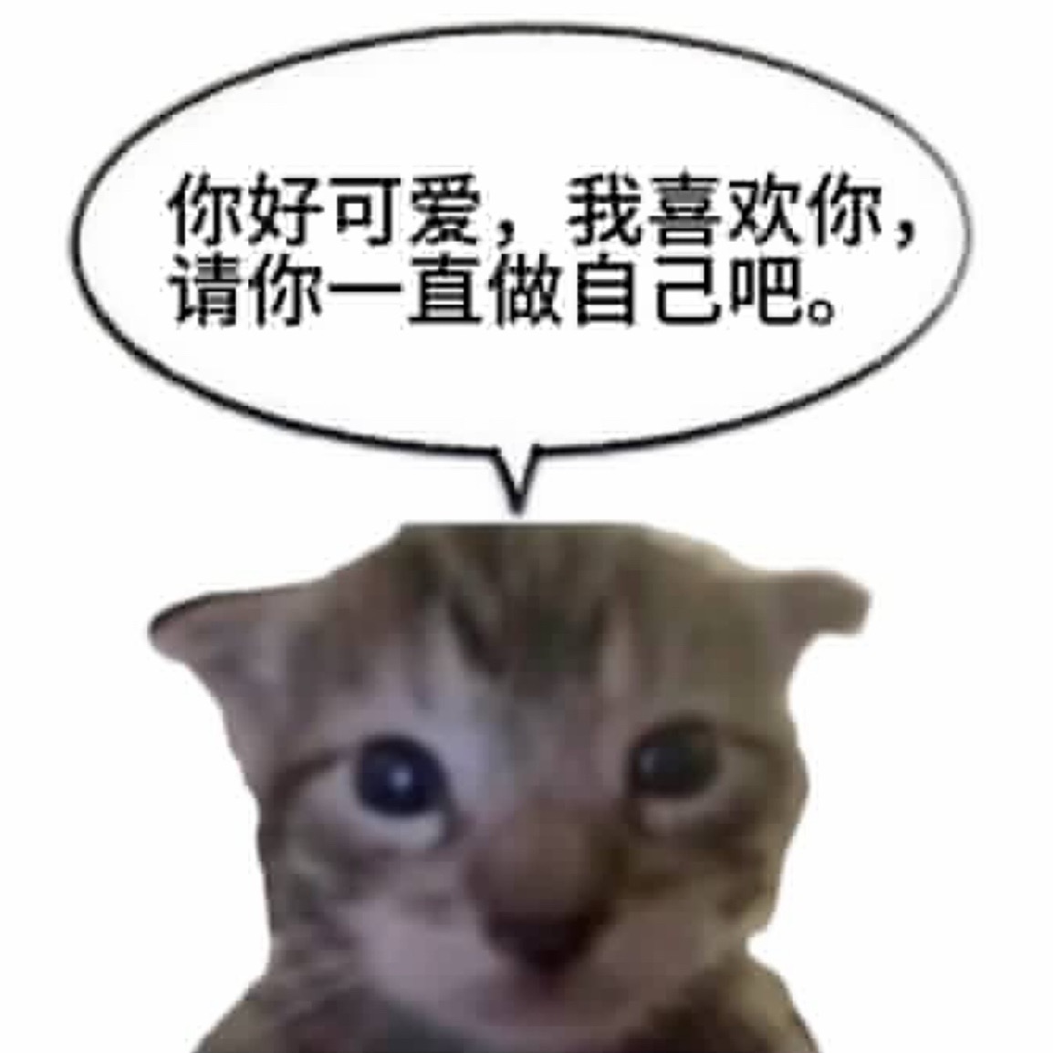 To棍棍： 