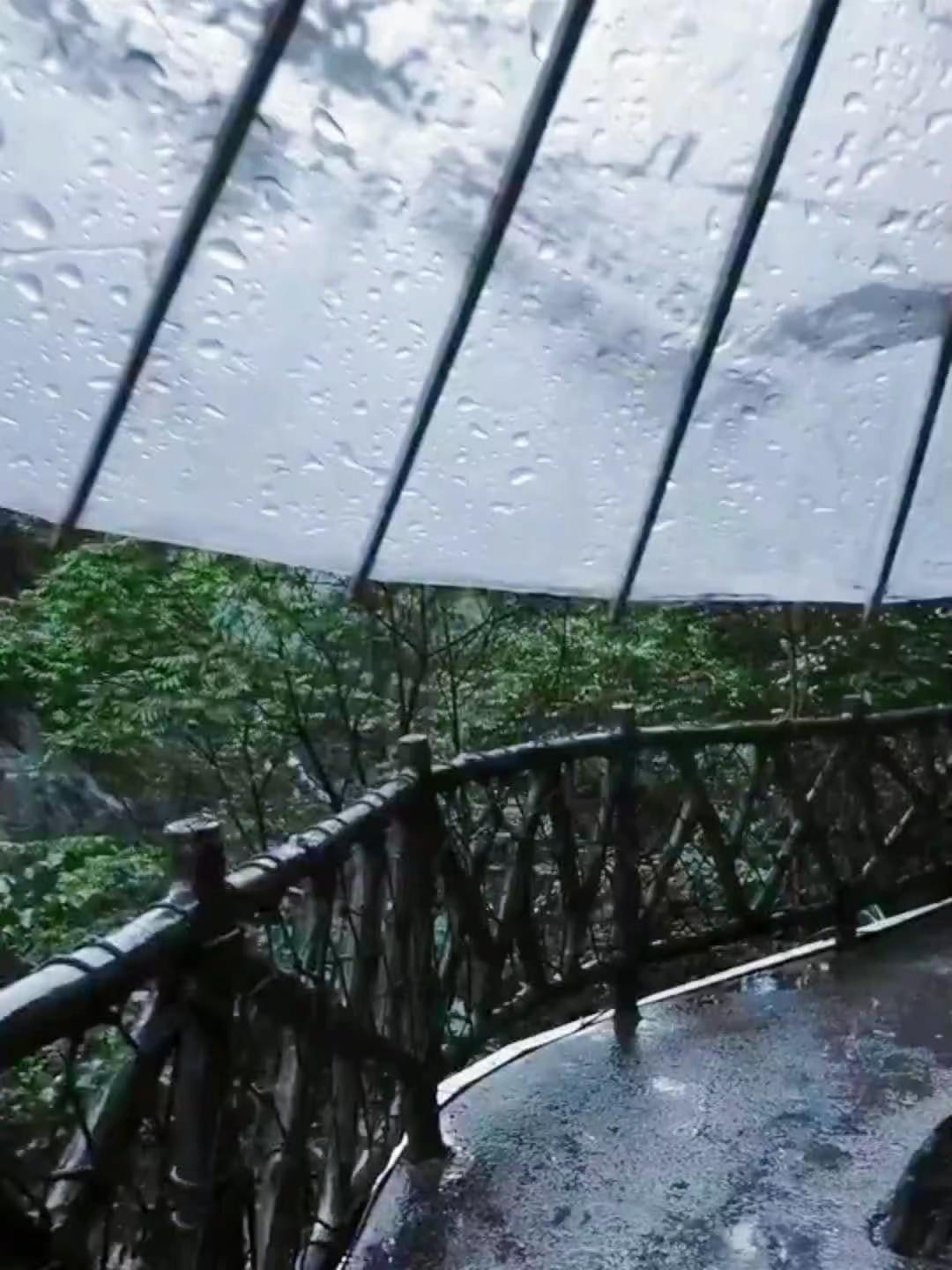 📚《晚禾少年》