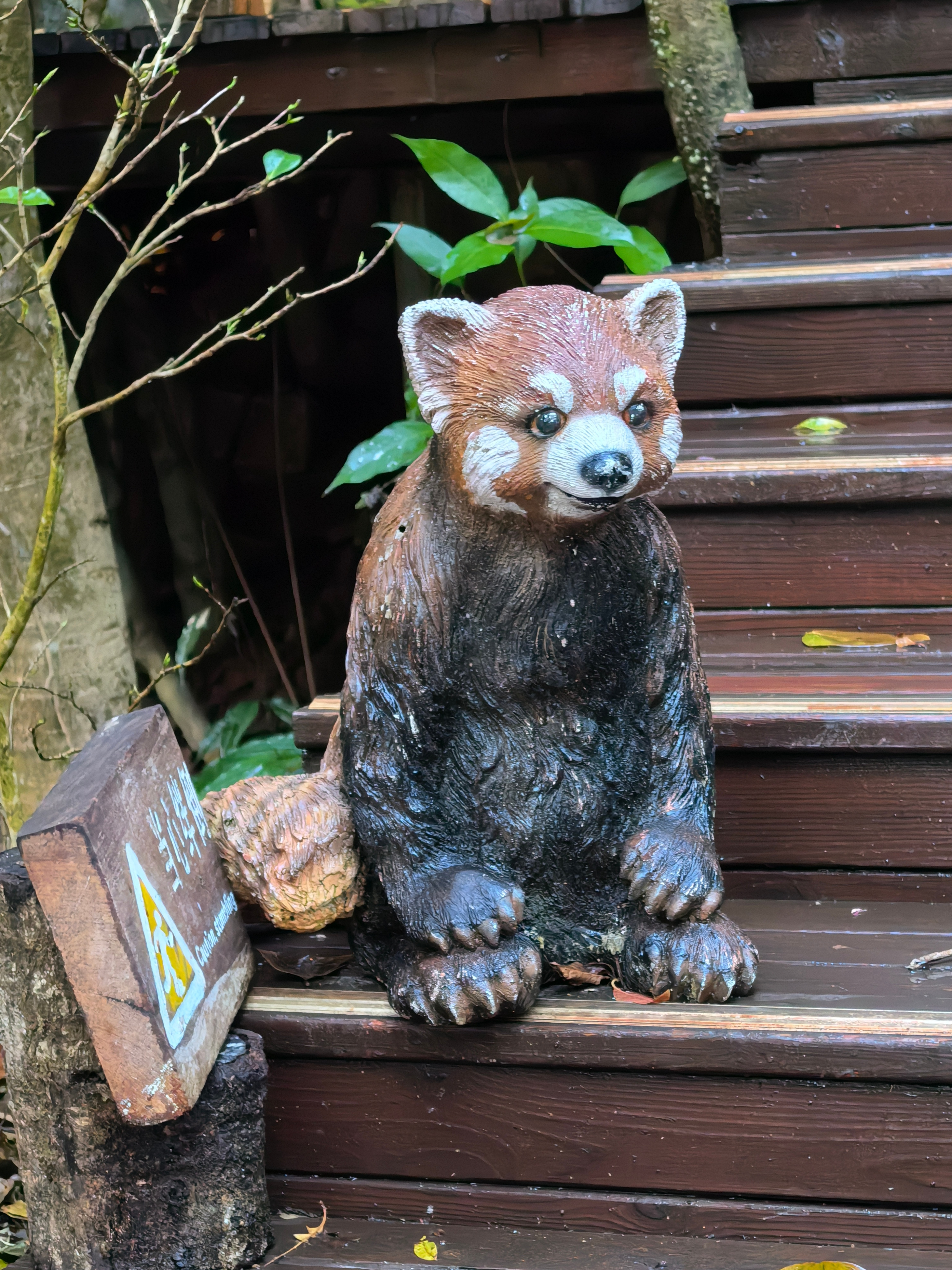 今天来普洱小熊猫庄园，直接住进了林中小屋。床上自带取暖设备还挺舒服的，就是今天到