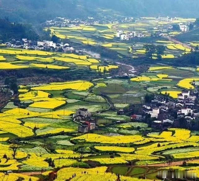 江西的春天叫婺源，油菜花开的季节马上来袭，三月不来婺源，你就辜负了美妙的春天！