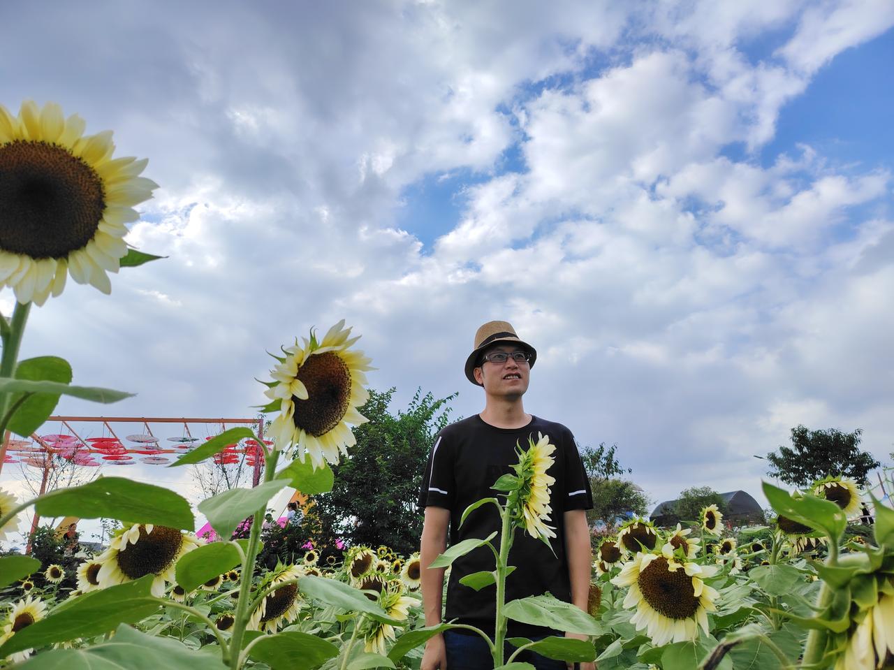 很多股民股票被套死扛不割肉，总骗自己说只要没平仓就只是浮亏，等行情回来就能解套甚