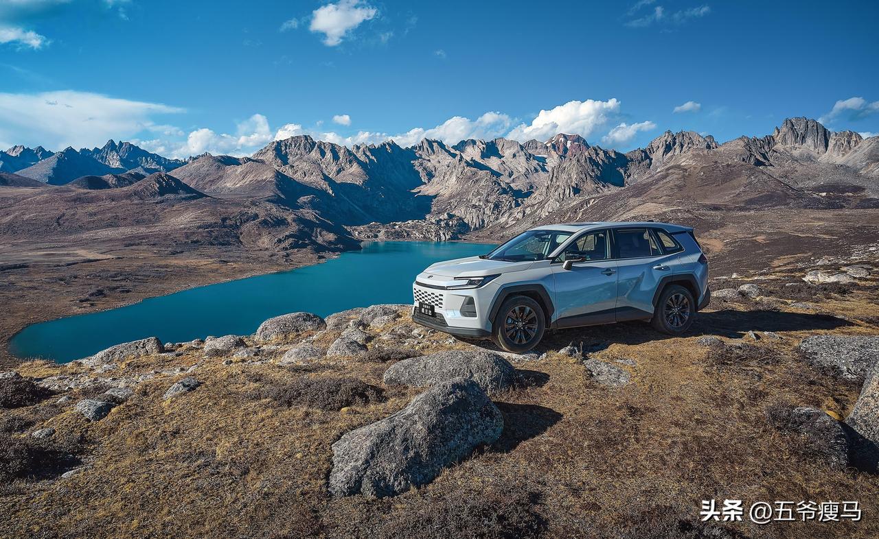 老张最近在选车，他的纠结堪称当代购车人的缩影：预算有限，又怕买得起养不起；想选合