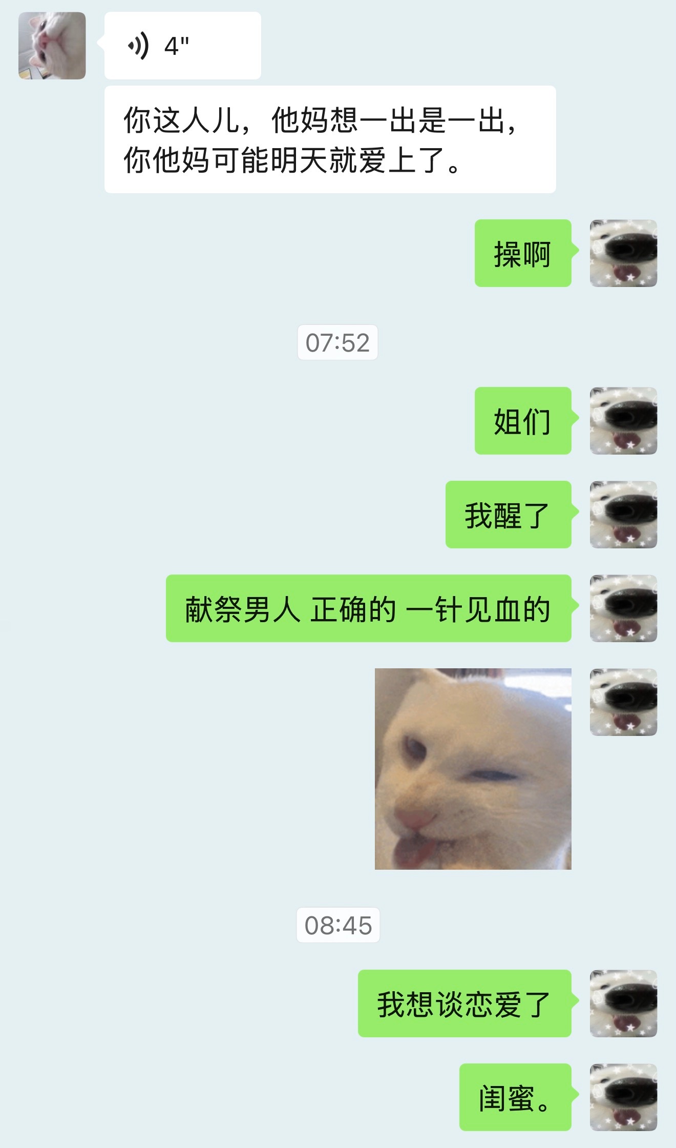 我可真是疯了 
