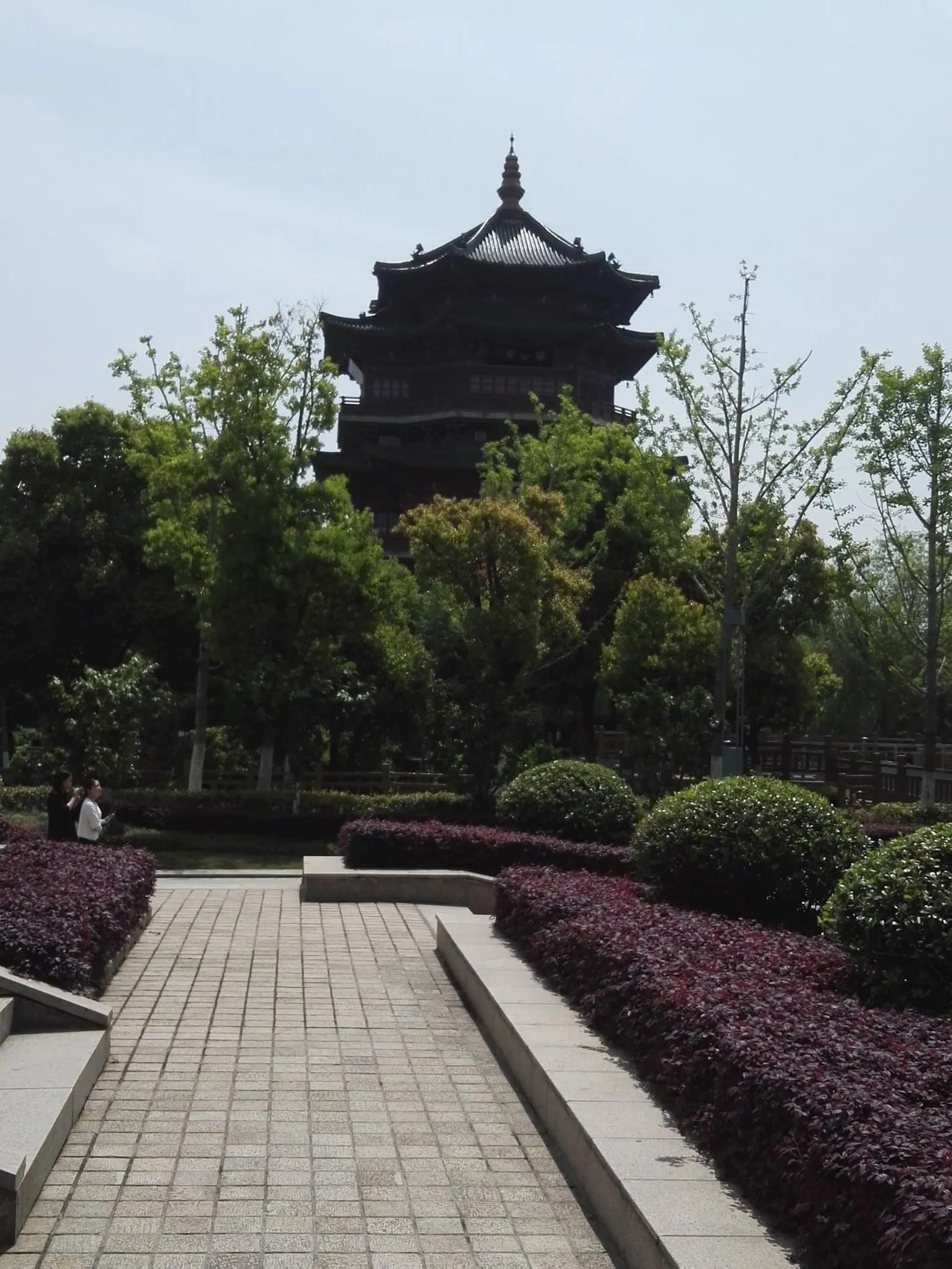 春日生活打卡季