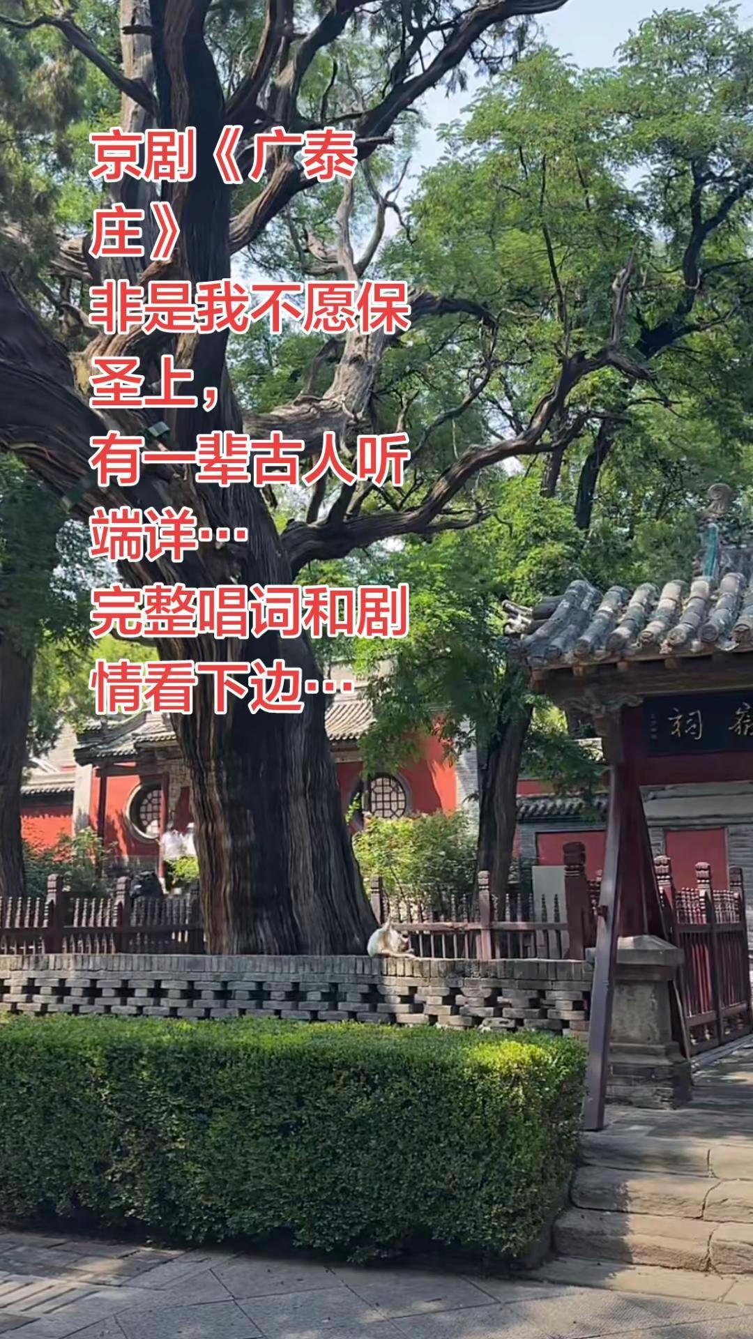 《广泰庄》剧情➕唱词。剧情介绍（《广泰庄》又名《三请徐达》，马派老生戏）背景：元