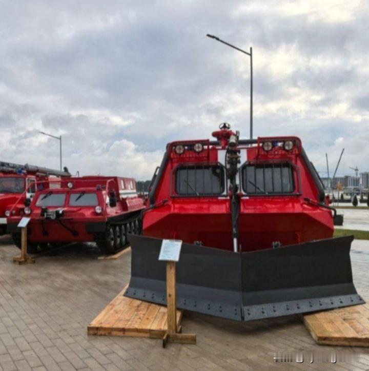 国际专业展览会“LESDREVTECH 2025”，白俄罗斯共和国明斯克。用于扑