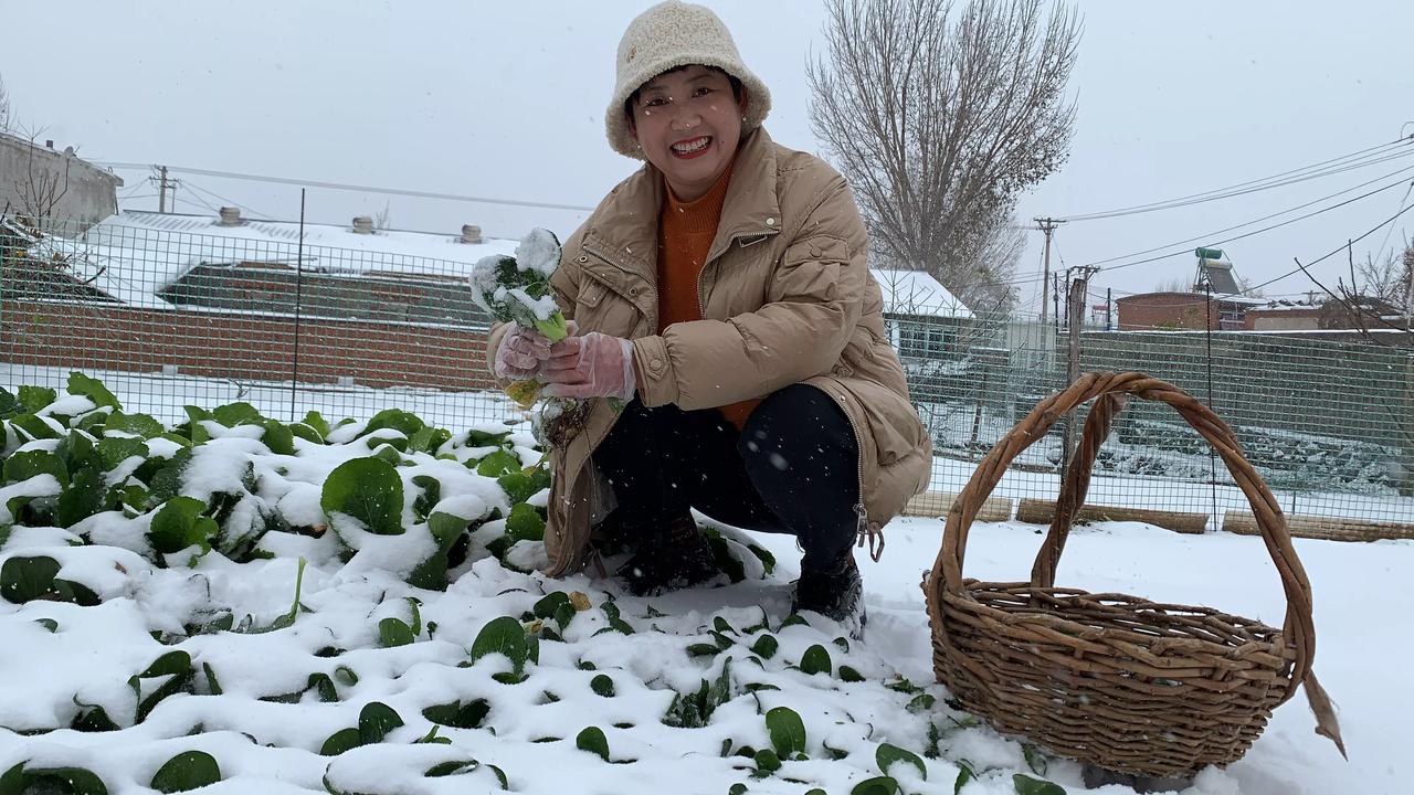 今日立冬，瑞雪踩点而来，丰收可盼，归期不远。愿你在天寒地冻的世界平安喜乐、安然无