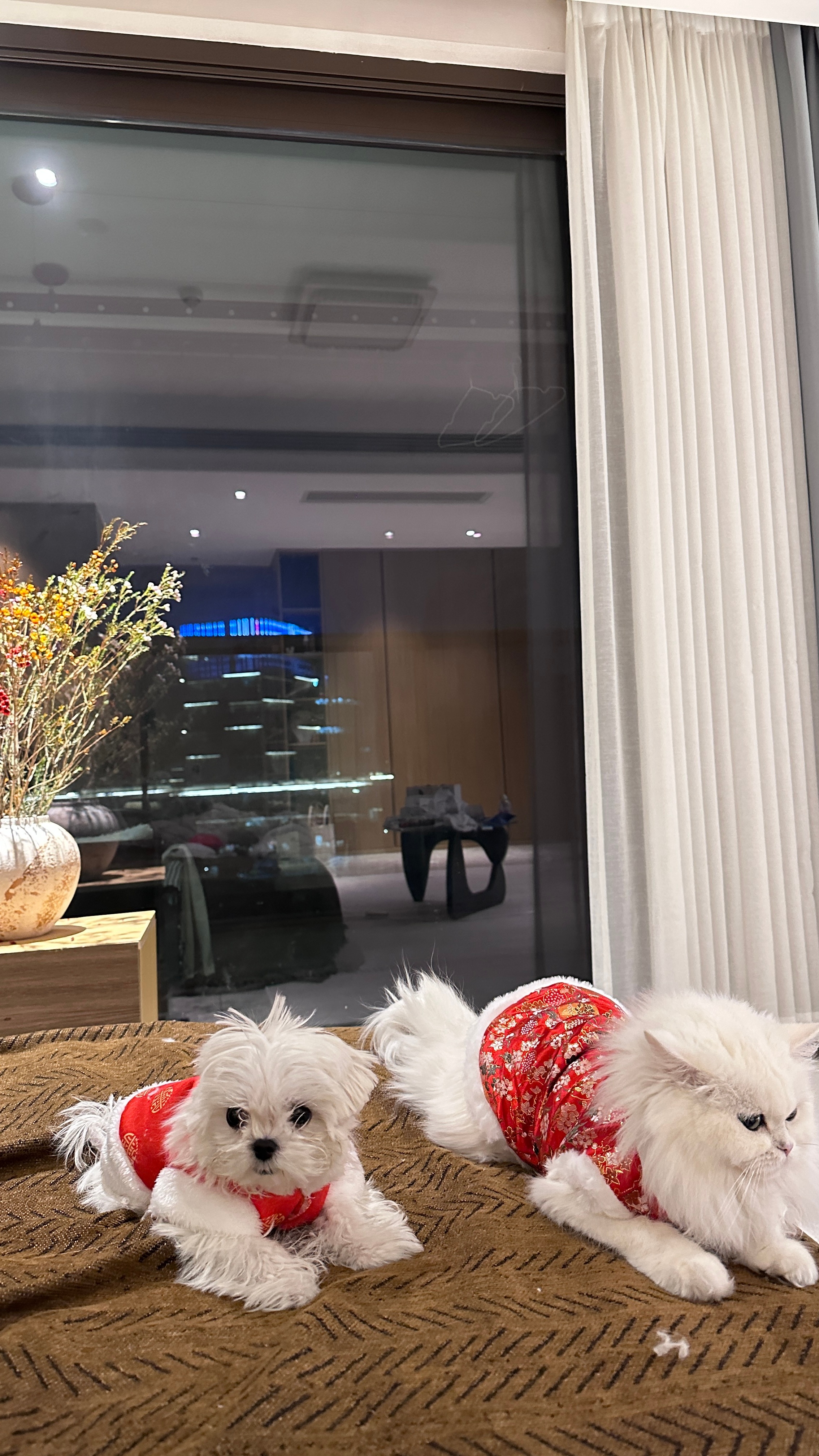 友宝女幸福日记  